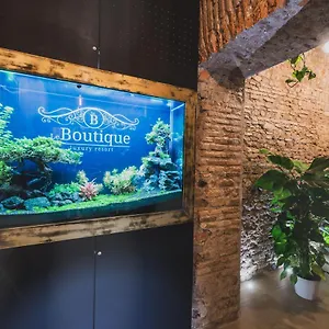 Le Boutique Luxury Diffused In Historic Center Фьюмичино